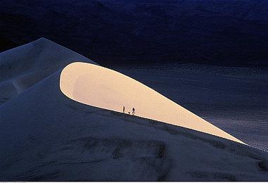 亚马逊或泄露《宝可梦传说Z-A》将于8月15日发售